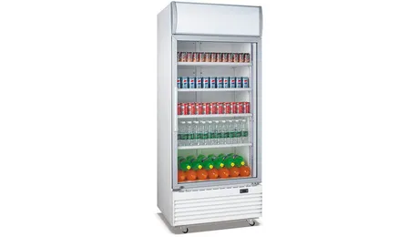 یخچال نوشیدنی تک درب چیست و چه ویژگی هایی دارد؟ یخچال نوشیدنی تک درب چیست و چه ویژگی هایی دارد؟